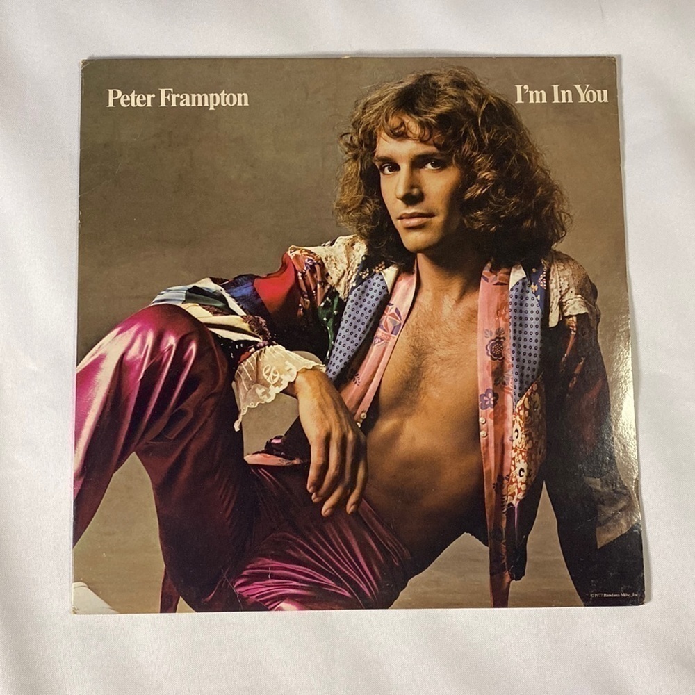 PETER FRAMPTON VINYL RECORD ✨✨✨